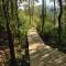Chucao Bosque y Cabañas