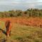 Beautiful Lymington New Forest Getaway