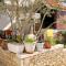 Apartments by the sea Drasnice, Makarska - 5265