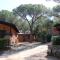 Camping Lacona Pineta