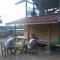 Sollo Sollo Homestay - Lemonga