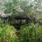 Kuwera Eco Lodge