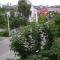 Truskavets Lux Apartment