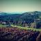 Weingut Reiterer - Kitzeck im Sausal