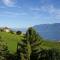 Foto: Villa Lavaux 17/20