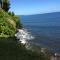 Hilo Bay Oceanfront Bed and Breakfast - هيلو