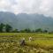 Mai Chau Countryside Homestay - Mai Châu