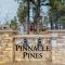 Pinnacle Pines - Flagstaff