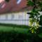 Hotel Knudsens Gaard - 欧登塞
