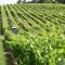 Quinta De Catralvos