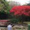 Great House Guest House