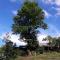 Foto: Big Tree Hmong Homestay