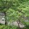 Annex Turtle Hotori-An