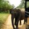 Lake Front Yala Safari - Kataragama