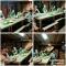 Matsu 1st Hostel