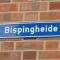 Bisping33