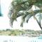 Holiday Hire Fiji