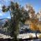 Rest home Jermuk