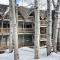 Modern Aspen Condo Private Deck W Koch Park Views - 2e