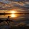 Lake Weyba Cottages Noosa
