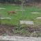 Kingsmede Bed & Breakfast