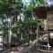 Foto: Jungle Bay Ecolodge