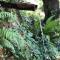 Gammaduwa Heritage Bungalow and Tea Gardens
