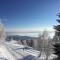 Appartement VIDMAR-WINTERTRAUM