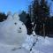 Hakuba Cottage Gram