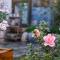 Dali Buxianshan Boutique Guesthouse-in Dali ancient city,near three pag odas and erhai lake,provide tour guide service and local experience