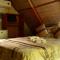 Elephant Trail Guesthouse and Backpackers - Kasane