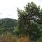 Chambre dHotes Petit Arnsbourg