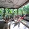 Hammock plantation