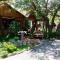Elephant Trail Guesthouse and Backpackers
