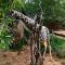 Elephant Trail Guesthouse and Backpackers Elephant Trail Guesthouse and Backpackers