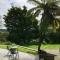 Orange Tree Cottage - Harbour view