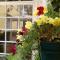 Hotel Las Flores