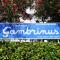 Residence Gambrinus