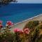 Samothraki Beach Boutique Hotel - Makrilies