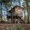 Boomhut Drouwenerzand