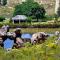 Leeuwenhof Guesthouse - Caledon