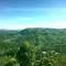White Home