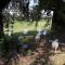Agriturismo la Scala