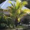 Calico Jacks Resort