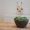 House Forelle Gent