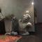 Atmosfere Puniche b&b
