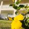 Rosewood Apartment Hotel