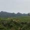 Dew Lee Homestay & Farm House