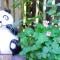 Foto: Chengdu Mrs Panda Hostel 31/120