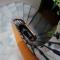 Ansen Hotel and Suites